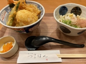 天丼とうどんセット