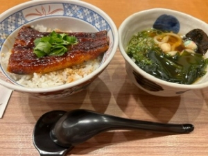 うなぎ丼とうどんセット🐟